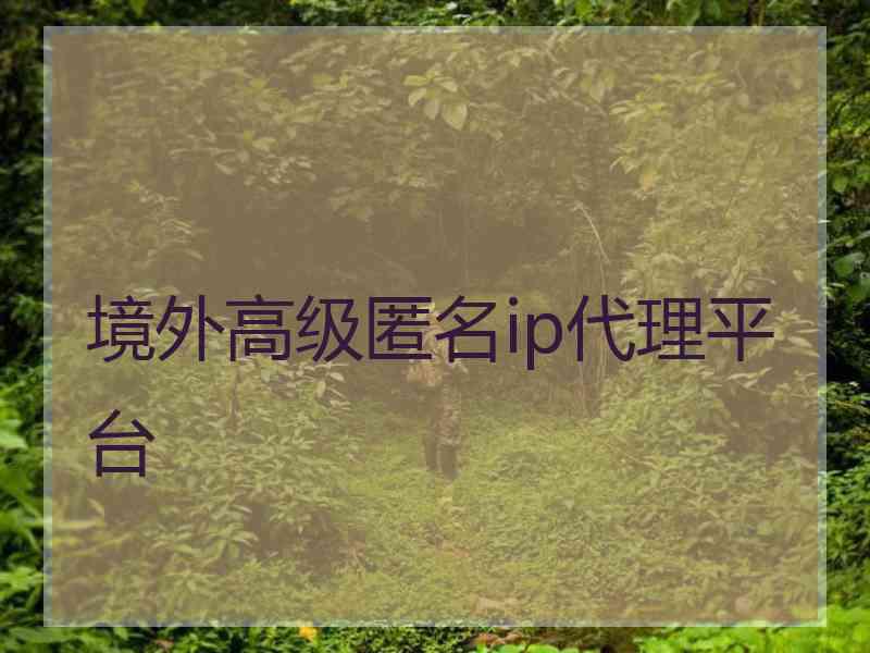 境外高级匿名ip代理平台