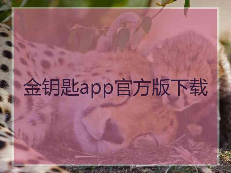 金钥匙app官方版下载