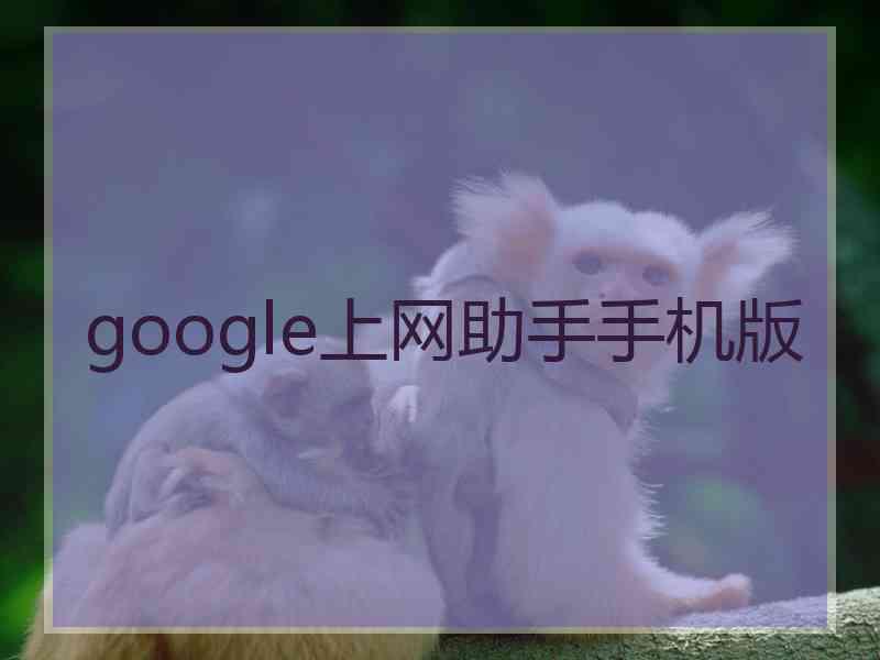 google上网助手手机版