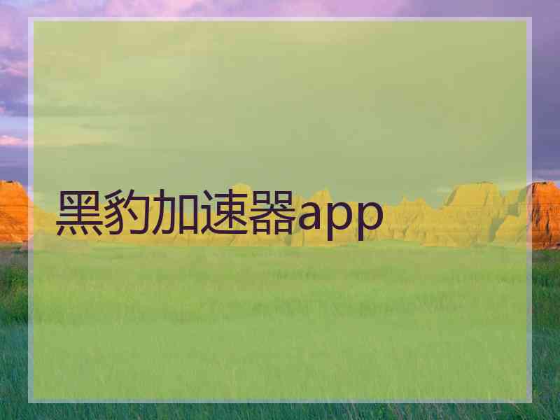 黑豹加速器app