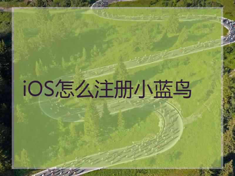 iOS怎么注册小蓝鸟