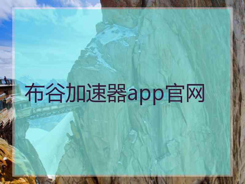 布谷加速器app官网