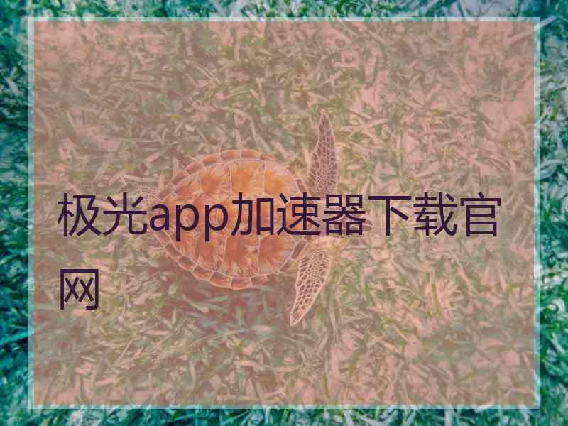 极光app加速器下载官网