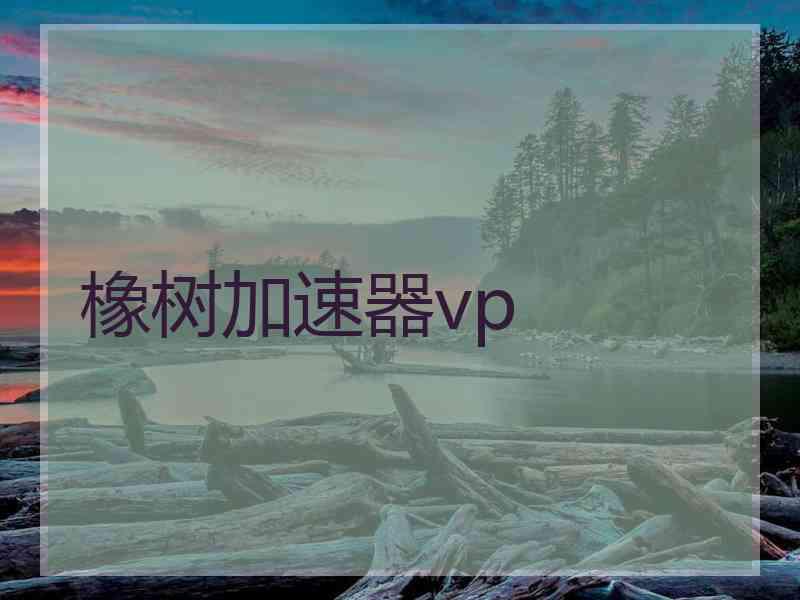 橡树加速器vp