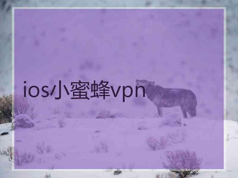 ios小蜜蜂vpn