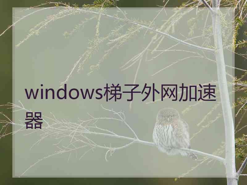 windows梯子外网加速器