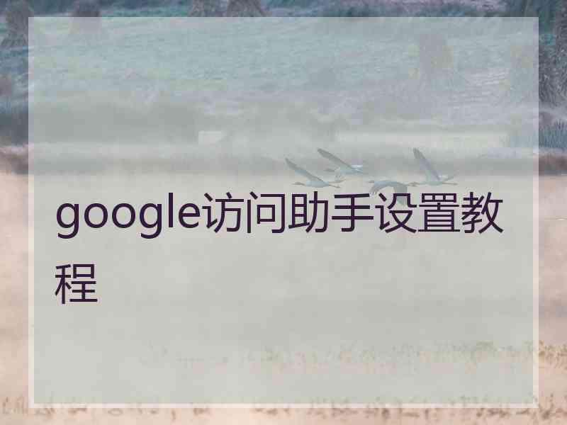 google访问助手设置教程