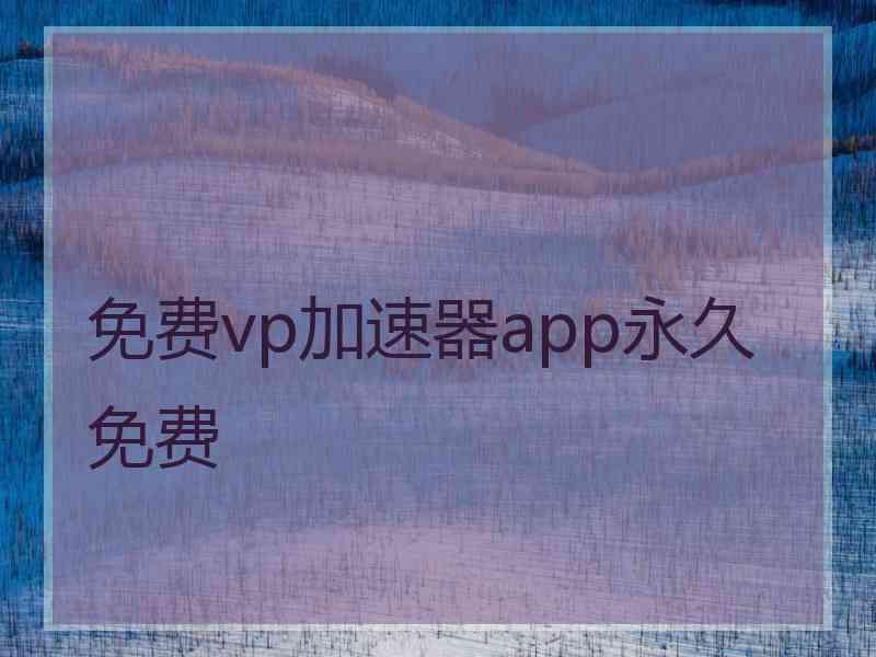 免费vp加速器app永久免费