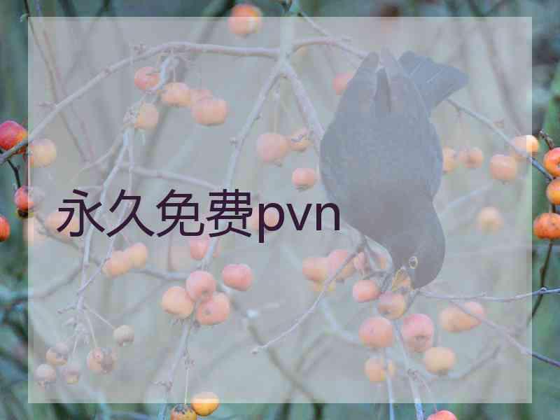 永久免费pvn