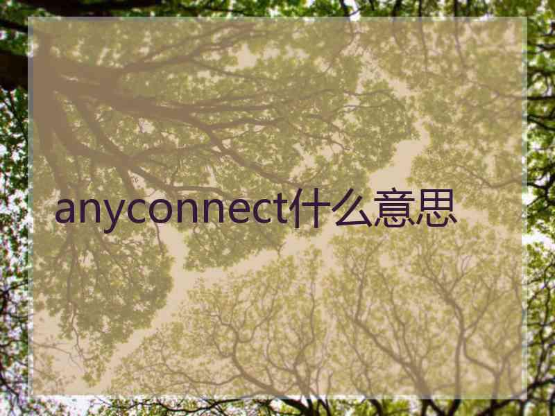 anyconnect什么意思