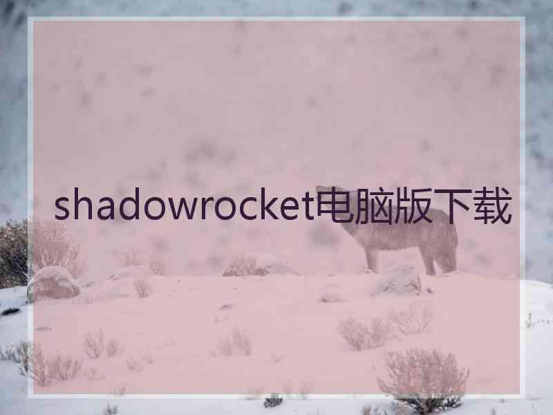 shadowrocket电脑版下载