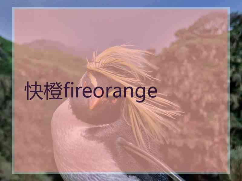 快橙fireorange