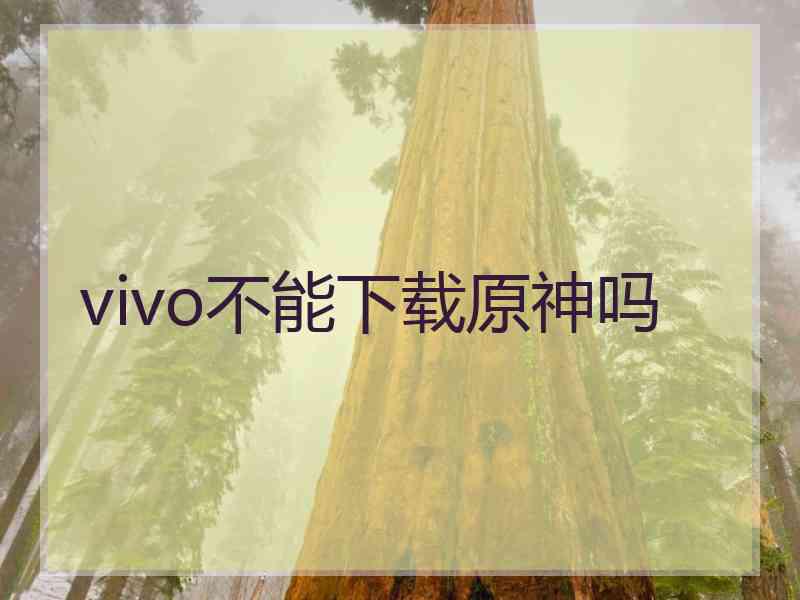 vivo不能下载原神吗