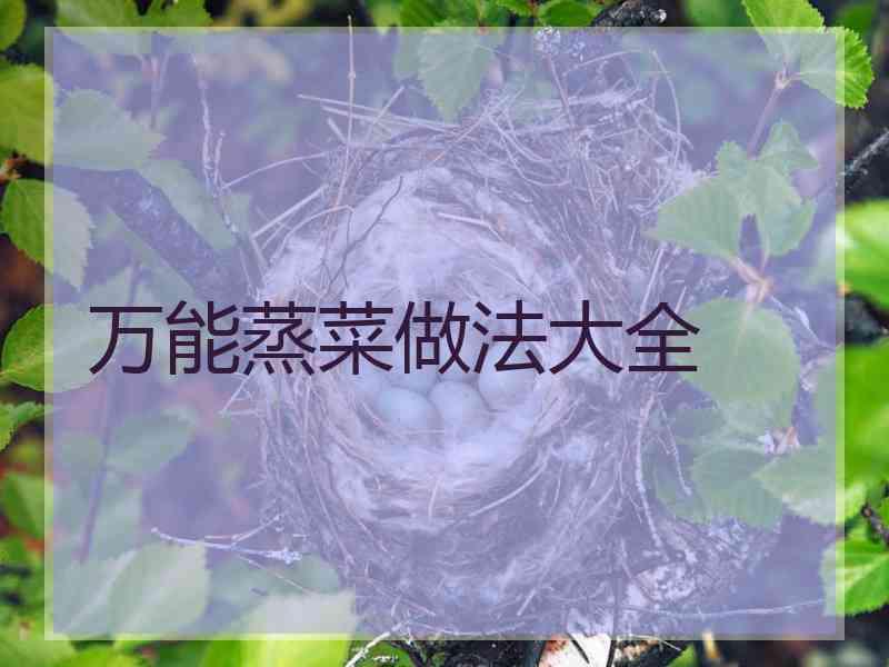 万能蒸菜做法大全