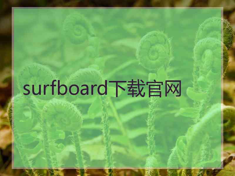 surfboard下载官网