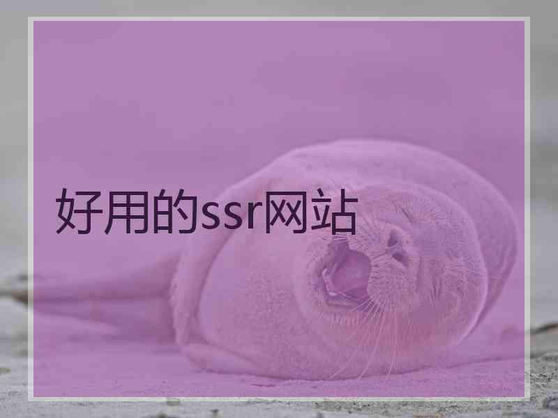 好用的ssr网站