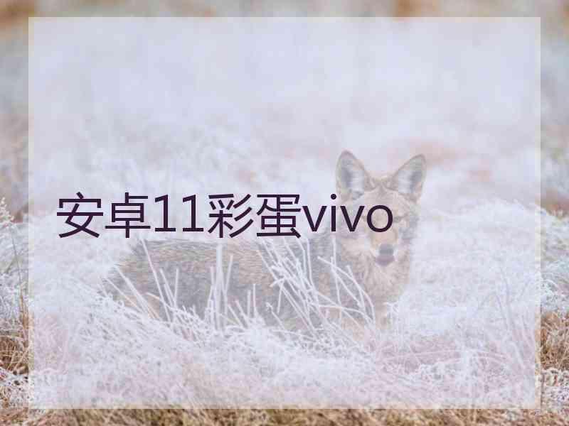 安卓11彩蛋vivo