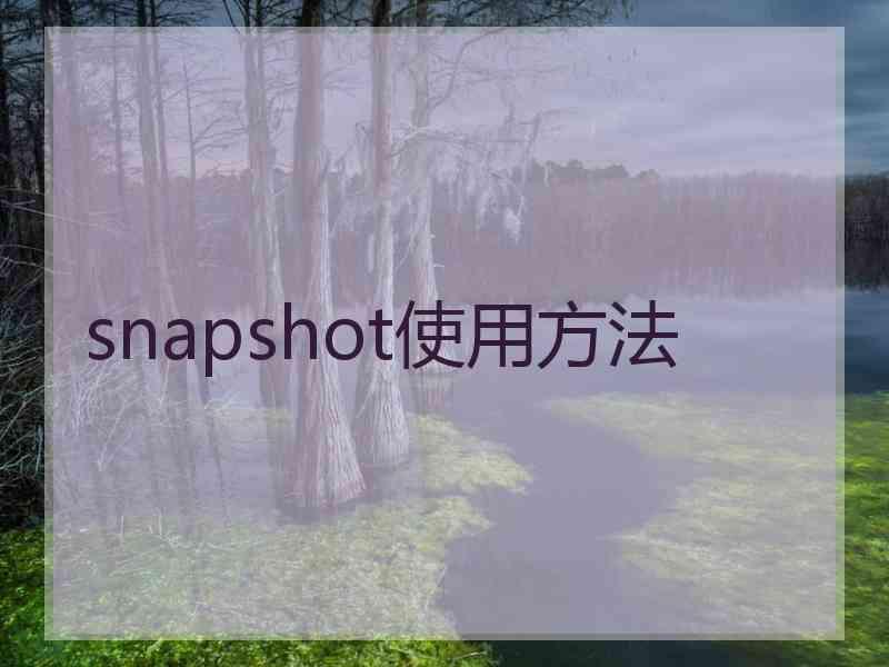 snapshot使用方法