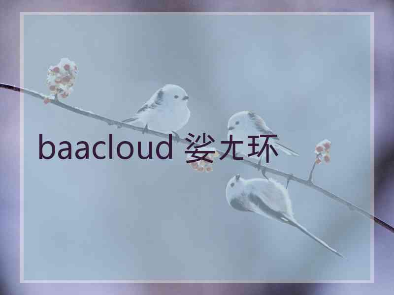 baacloud 娑ㄤ环