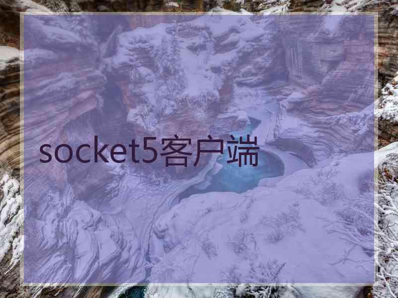 socket5客户端