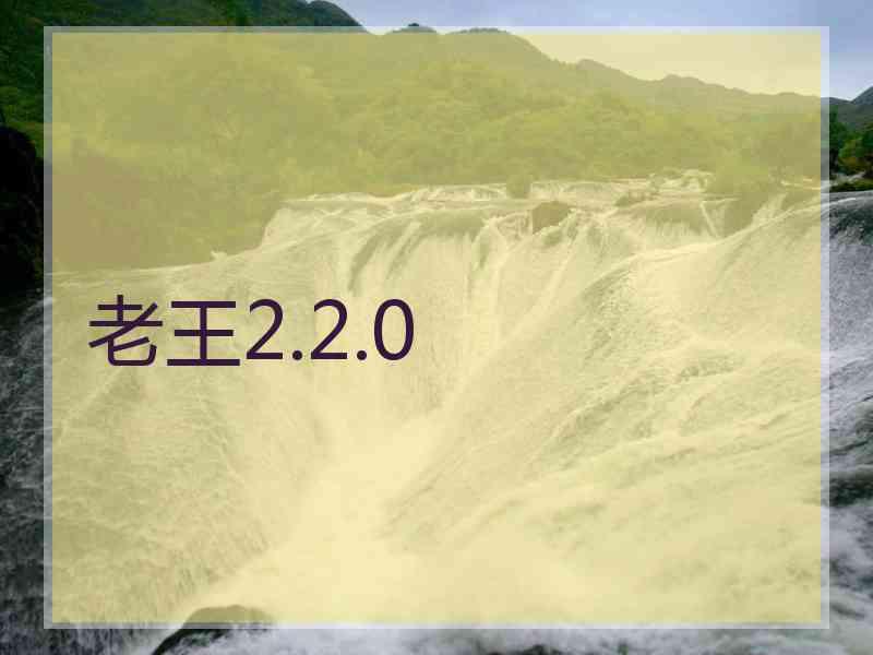 老王2.2.0