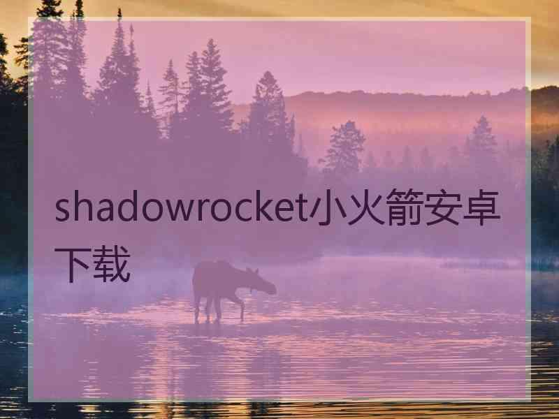 shadowrocket小火箭安卓下载