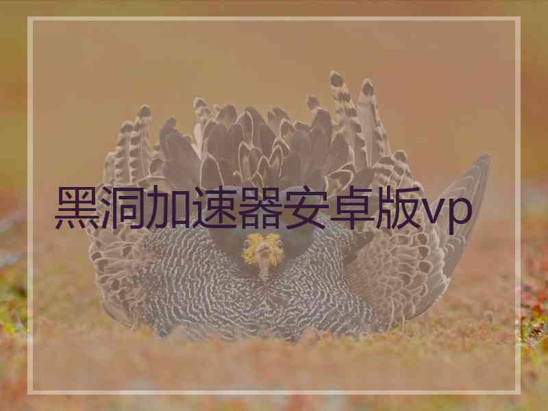 黑洞加速器安卓版vp