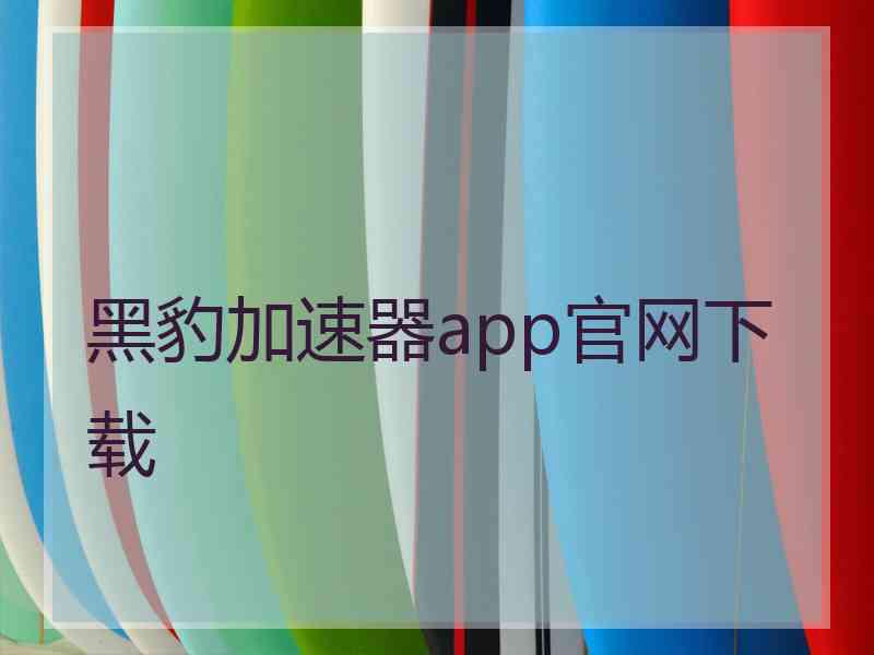 黑豹加速器app官网下载