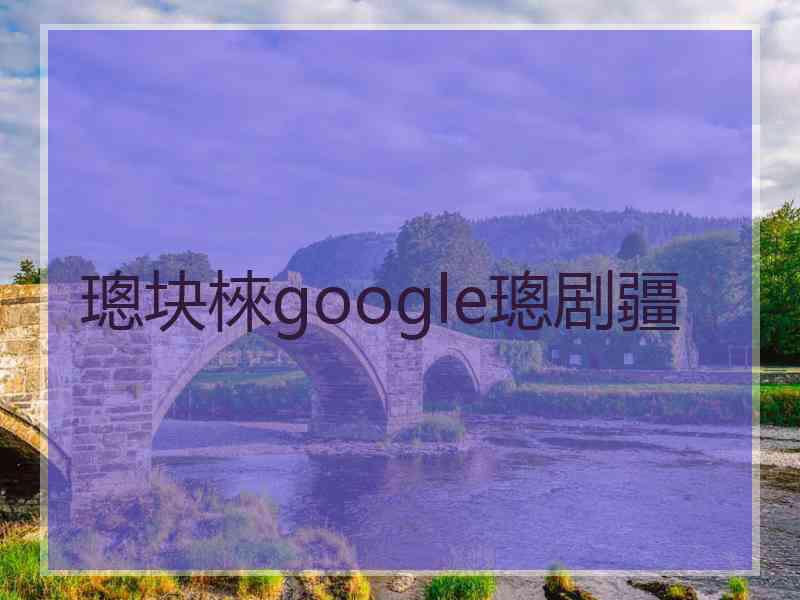 璁块棶google璁剧疆