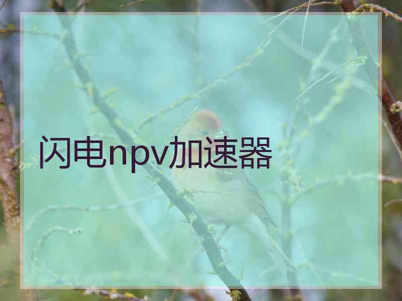 闪电npv加速器