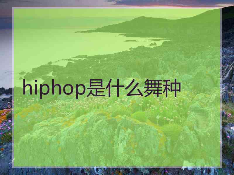 hiphop是什么舞种