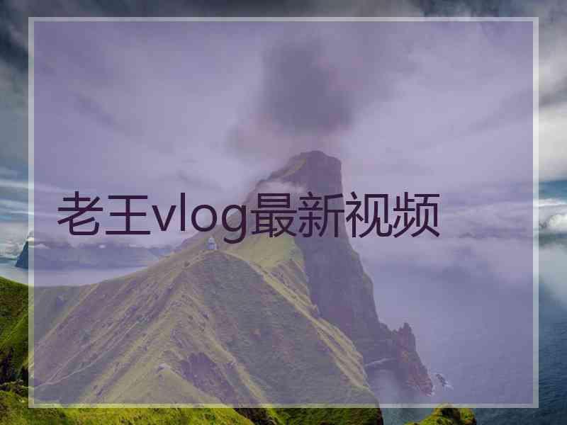 老王vlog最新视频