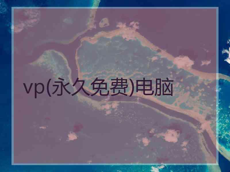 vp(永久免费)电脑