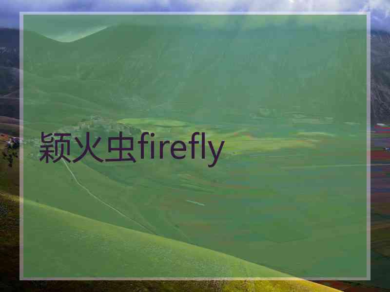 颖火虫firefly