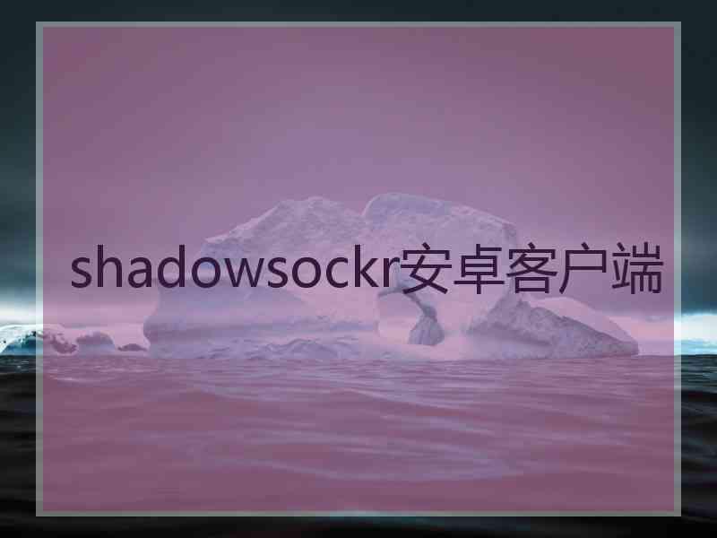 shadowsockr安卓客户端