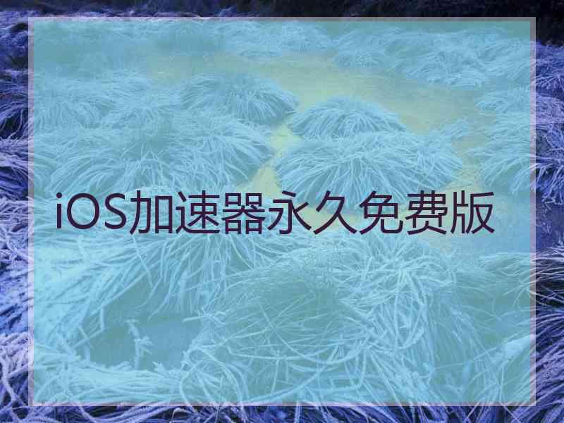 iOS加速器永久免费版