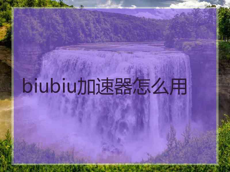 biubiu加速器怎么用