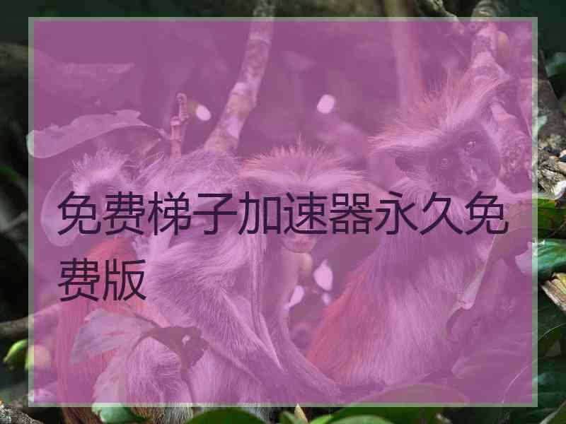 免费梯子加速器永久免费版