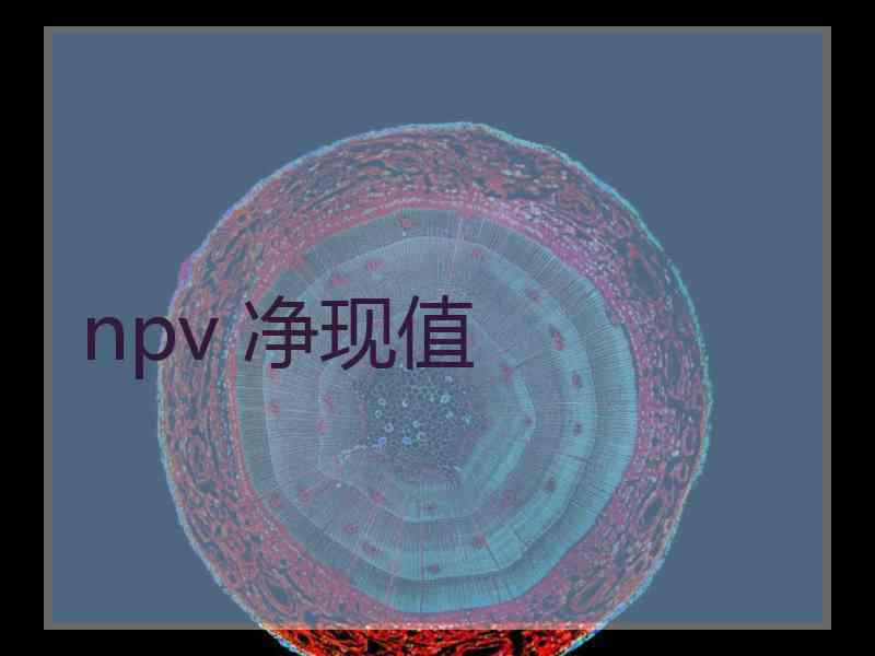 npv 净现值