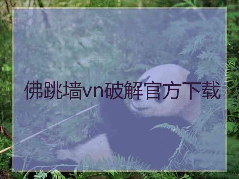 佛跳墙vn破解官方下载