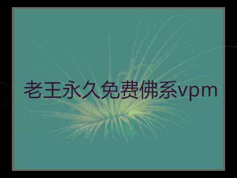 老王永久免费佛系vpm