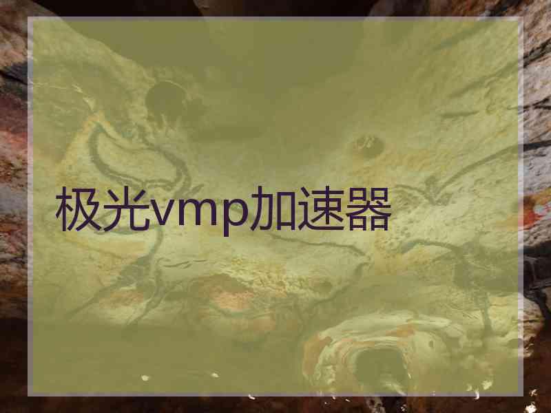 极光vmp加速器