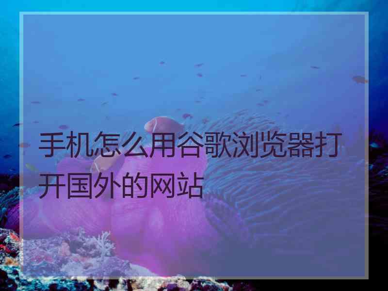 手机怎么用谷歌浏览器打开国外的网站