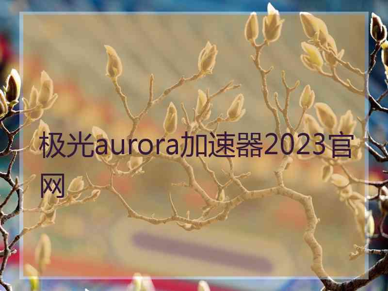 极光aurora加速器2023官网