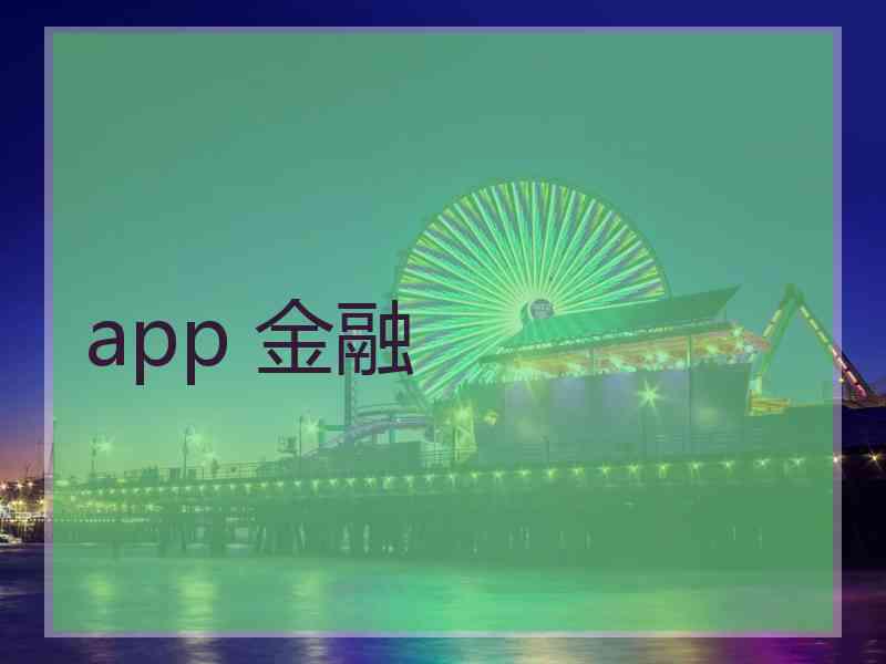 app 金融