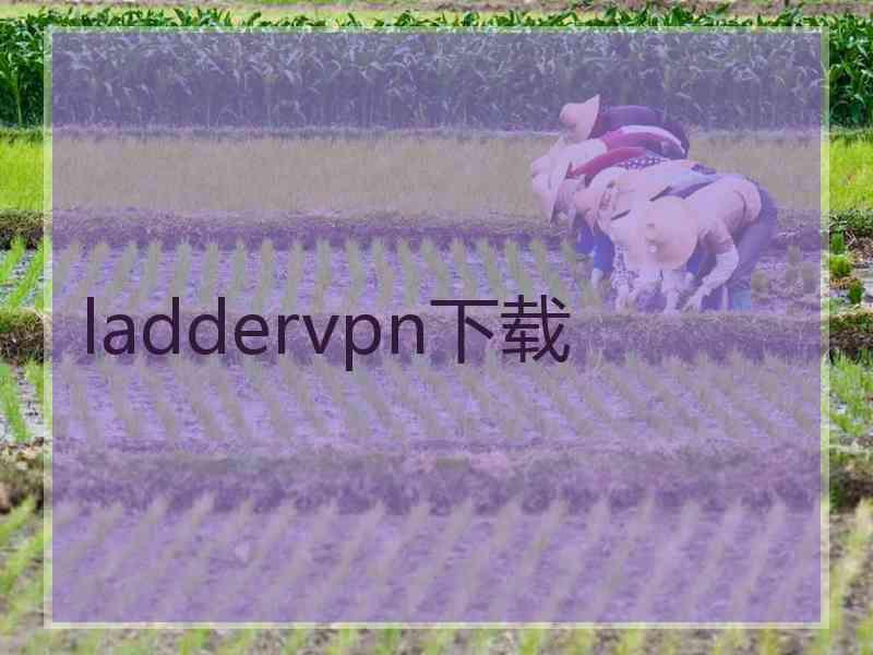 laddervpn下载