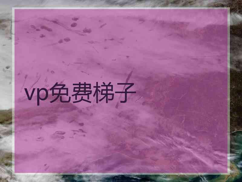 vp免费梯子