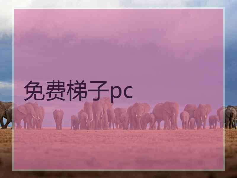 免费梯子pc