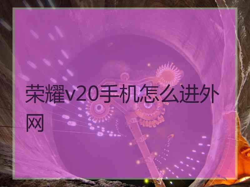 荣耀v20手机怎么进外网