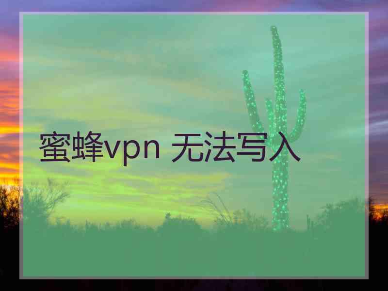 蜜蜂vpn 无法写入